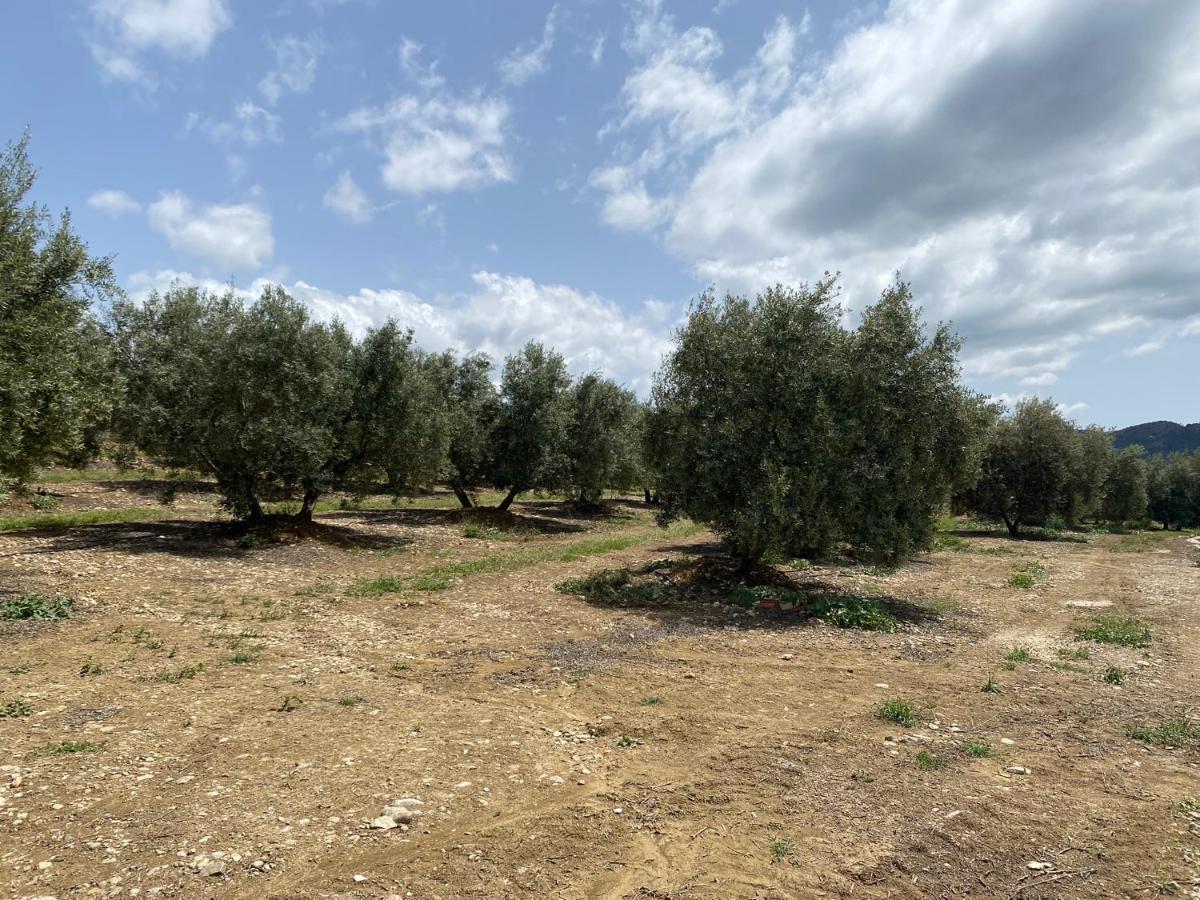 Cuartos Y Desayunos Hacienda Los Olivos Алора Екстериор снимка