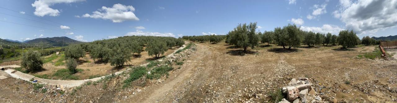 Cuartos Y Desayunos Hacienda Los Olivos Алора Екстериор снимка